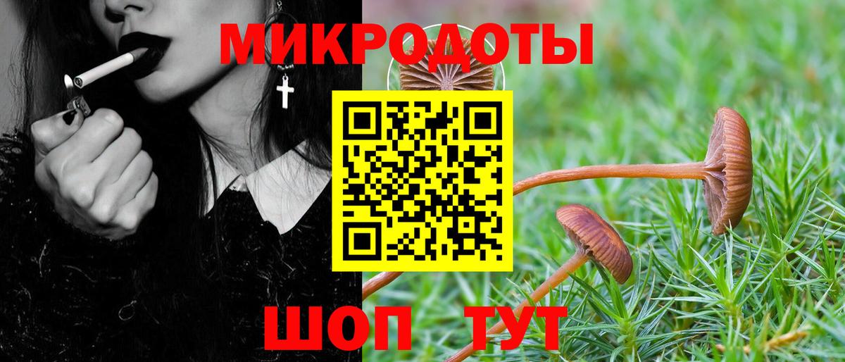 Галлюциногенные грибы Cubensis Радужный